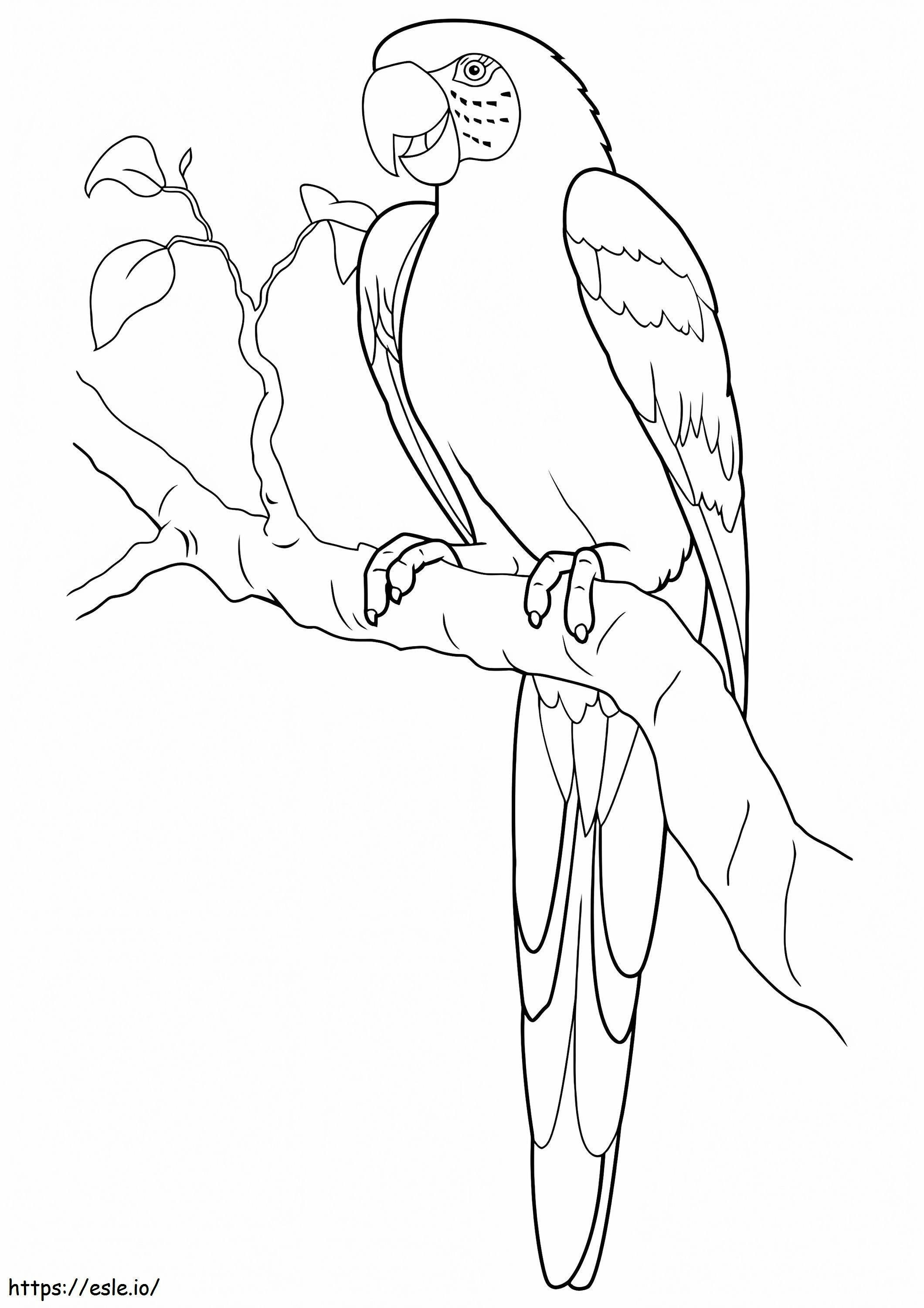1526427134 Hyacinth Macaw A4 coloring page