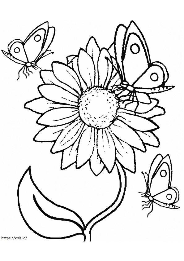 Sunflower And Butterfly coloring page