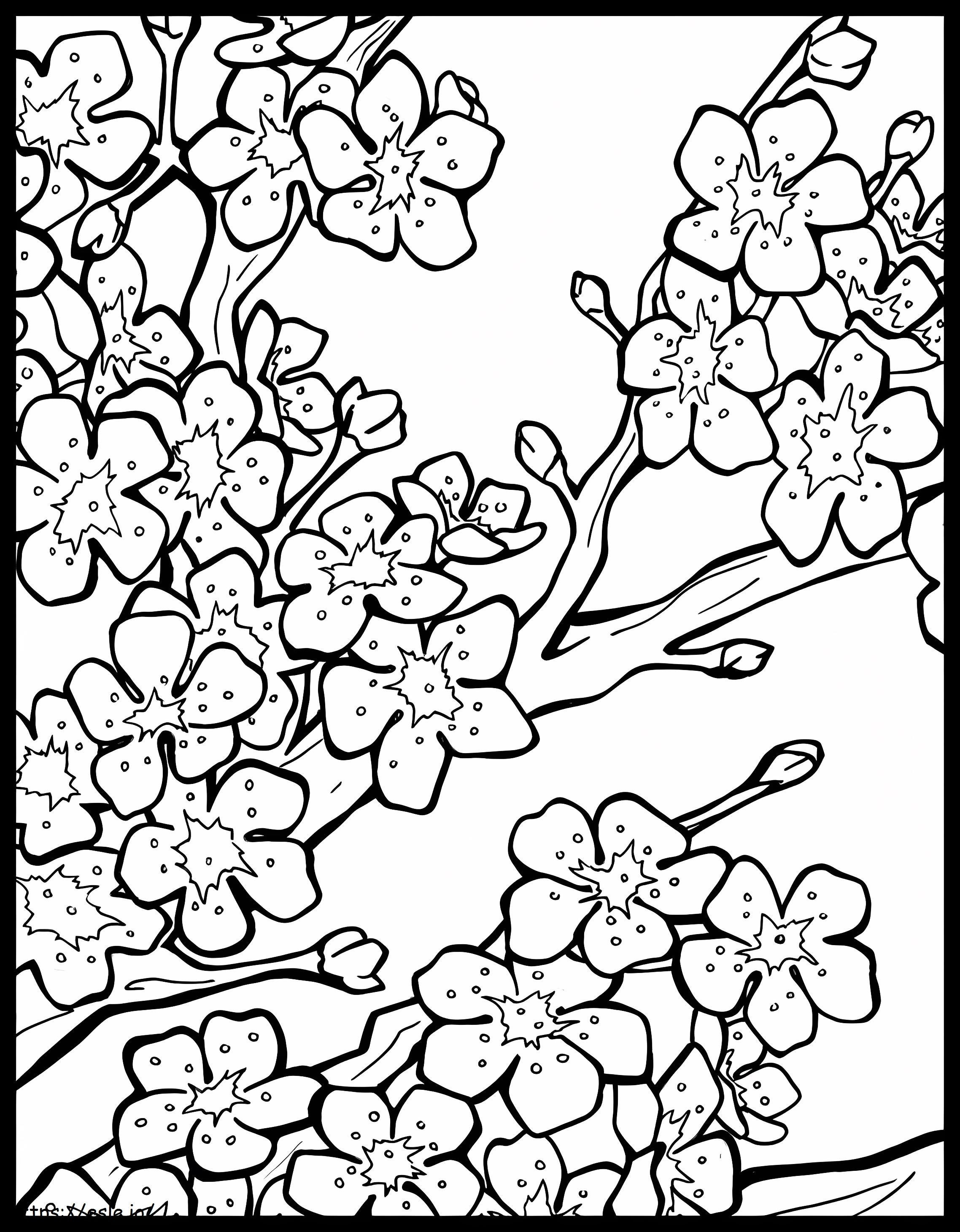 Simple Cherry Blossom coloring page