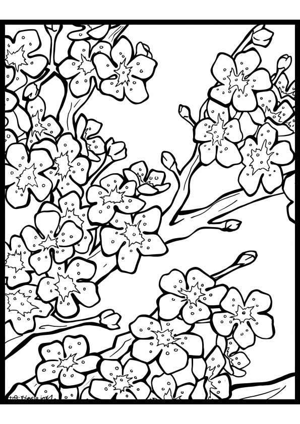シンプルな桜 ぬりえ - 塗り絵
