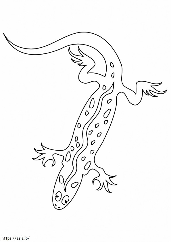 1526394808 Sticky Gecko A4 coloring page