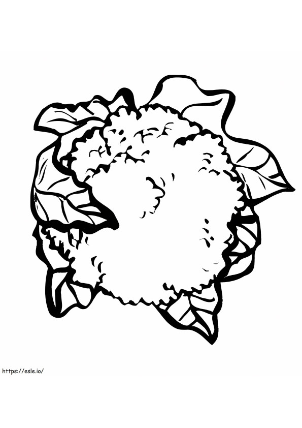 Cauliflower 1 coloring page