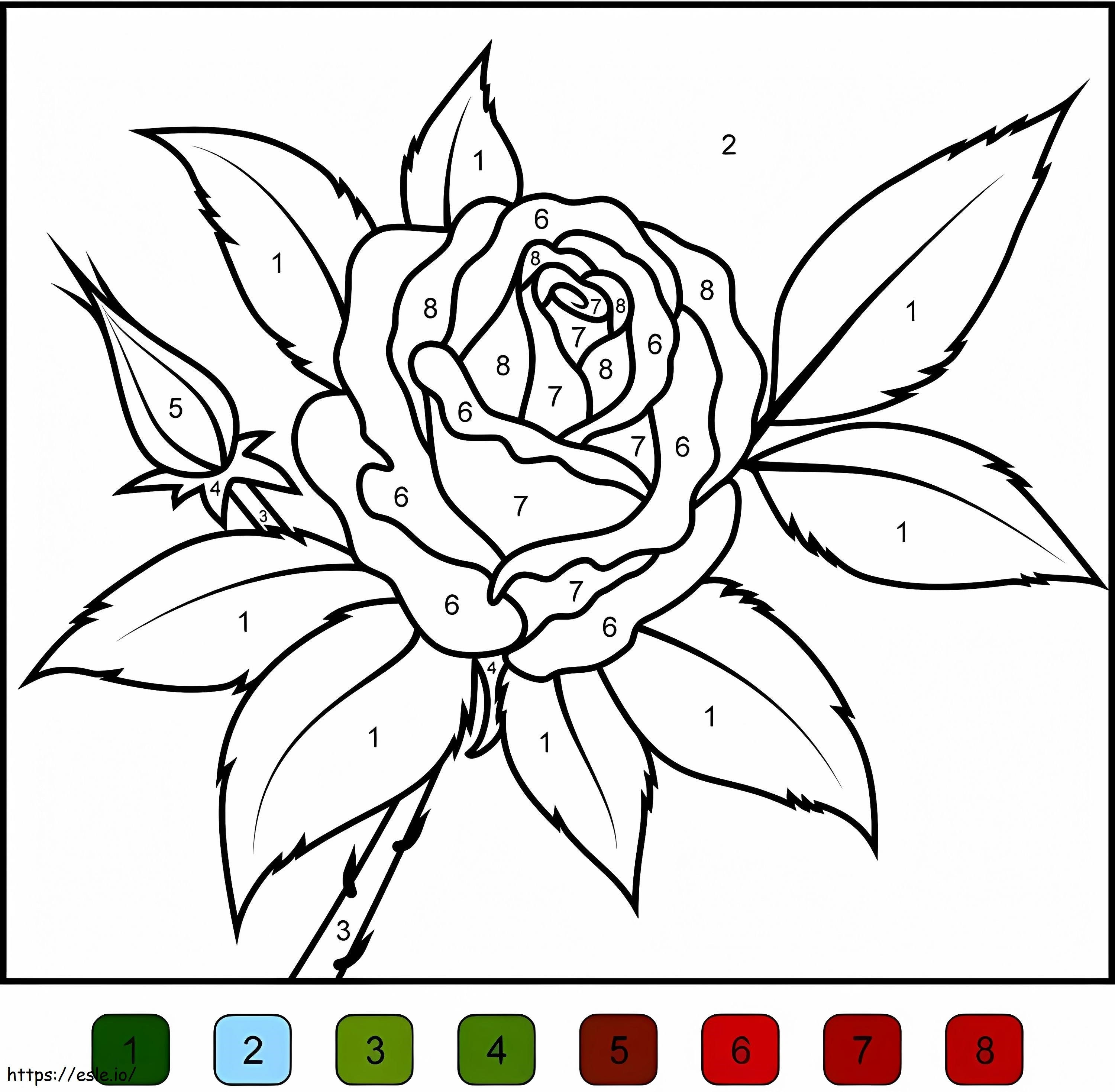 Kolorowanie kwiatów róży według numerów kolorowanka