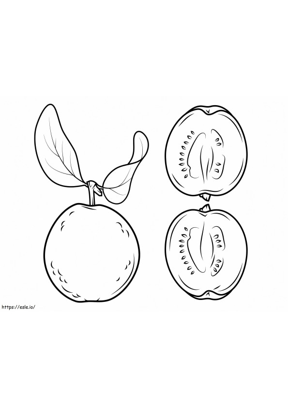 1559782129 Guava A4 coloring page