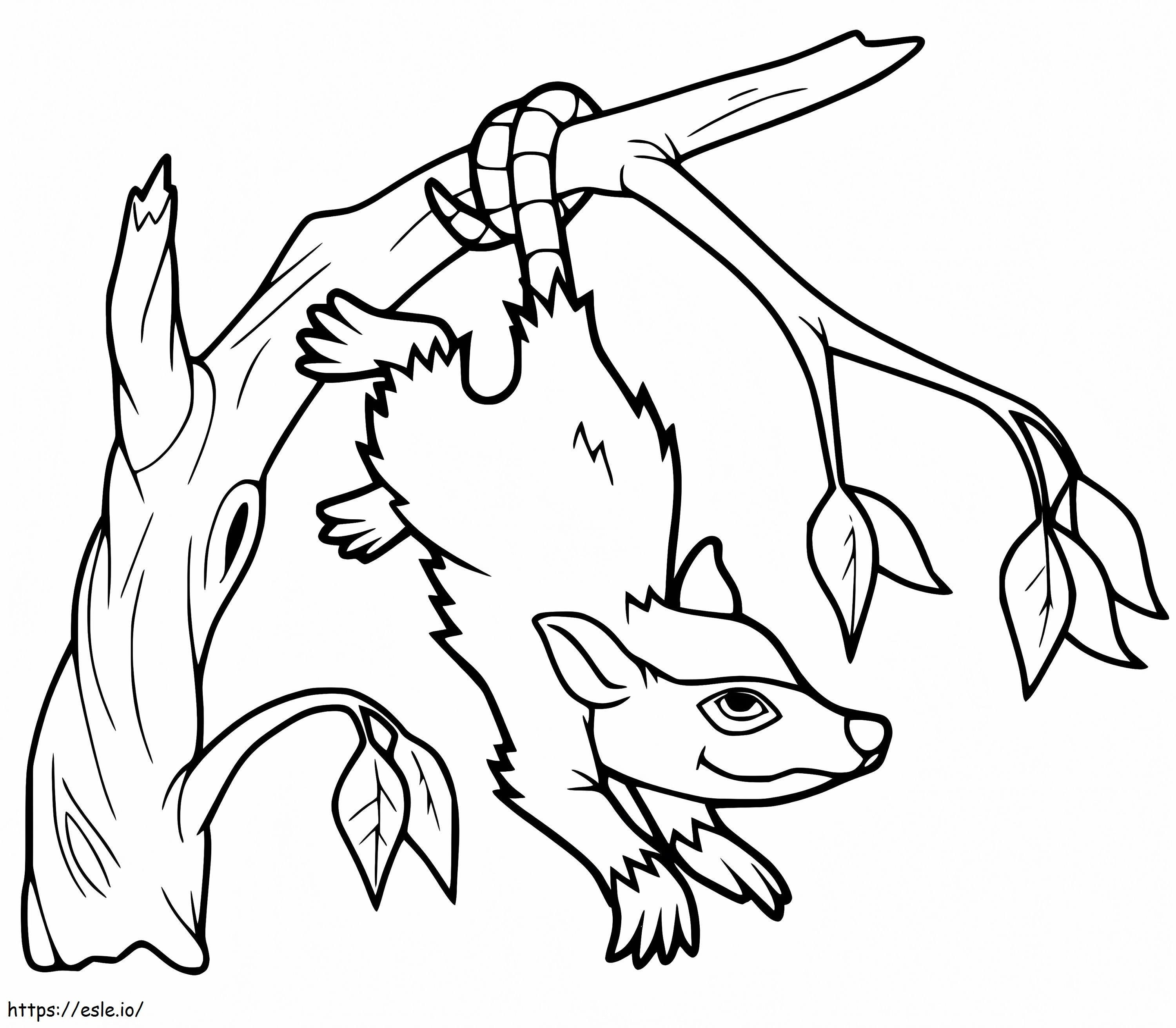 Opossum Smiling coloring page