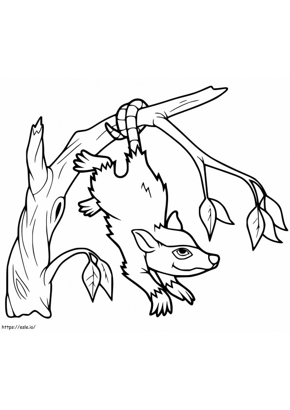 Opossum Smiling coloring page