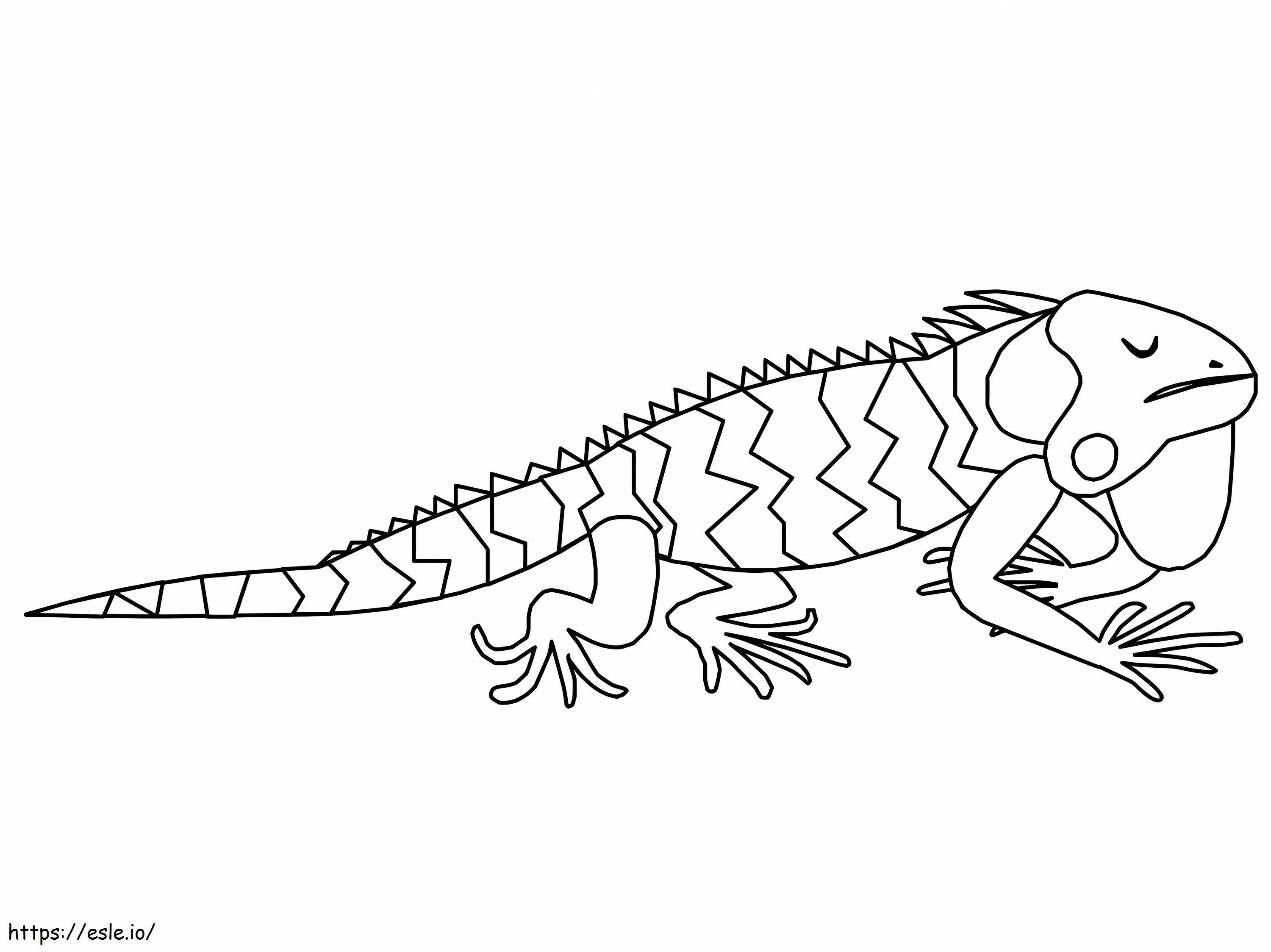 Coloriage Iguane endormi à imprimer dessin
