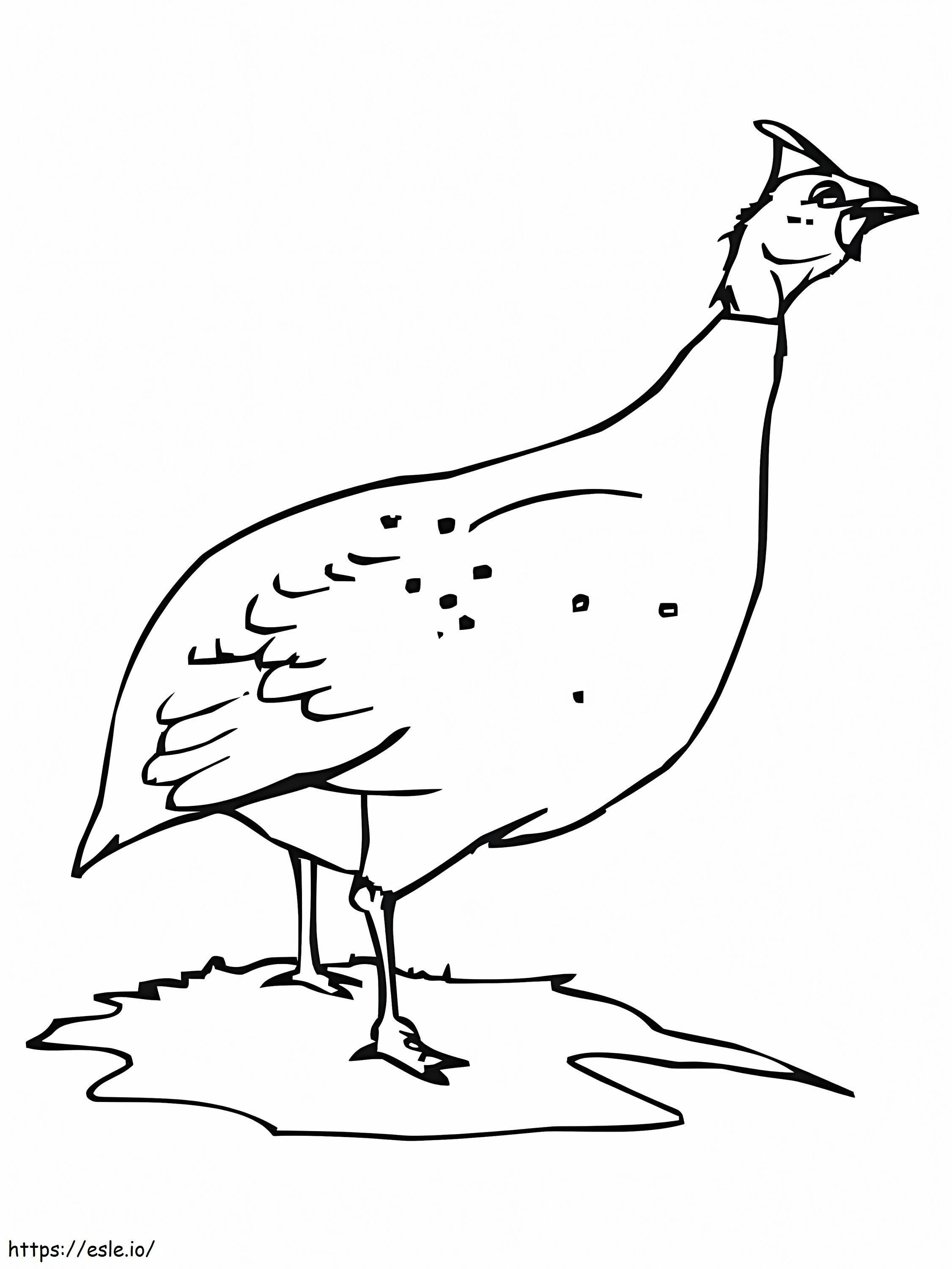 ホロホロ鳥または鶏 ぬりえ - 塗り絵