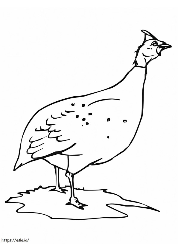 ホロホロ鳥または鶏 ぬりえ - 塗り絵