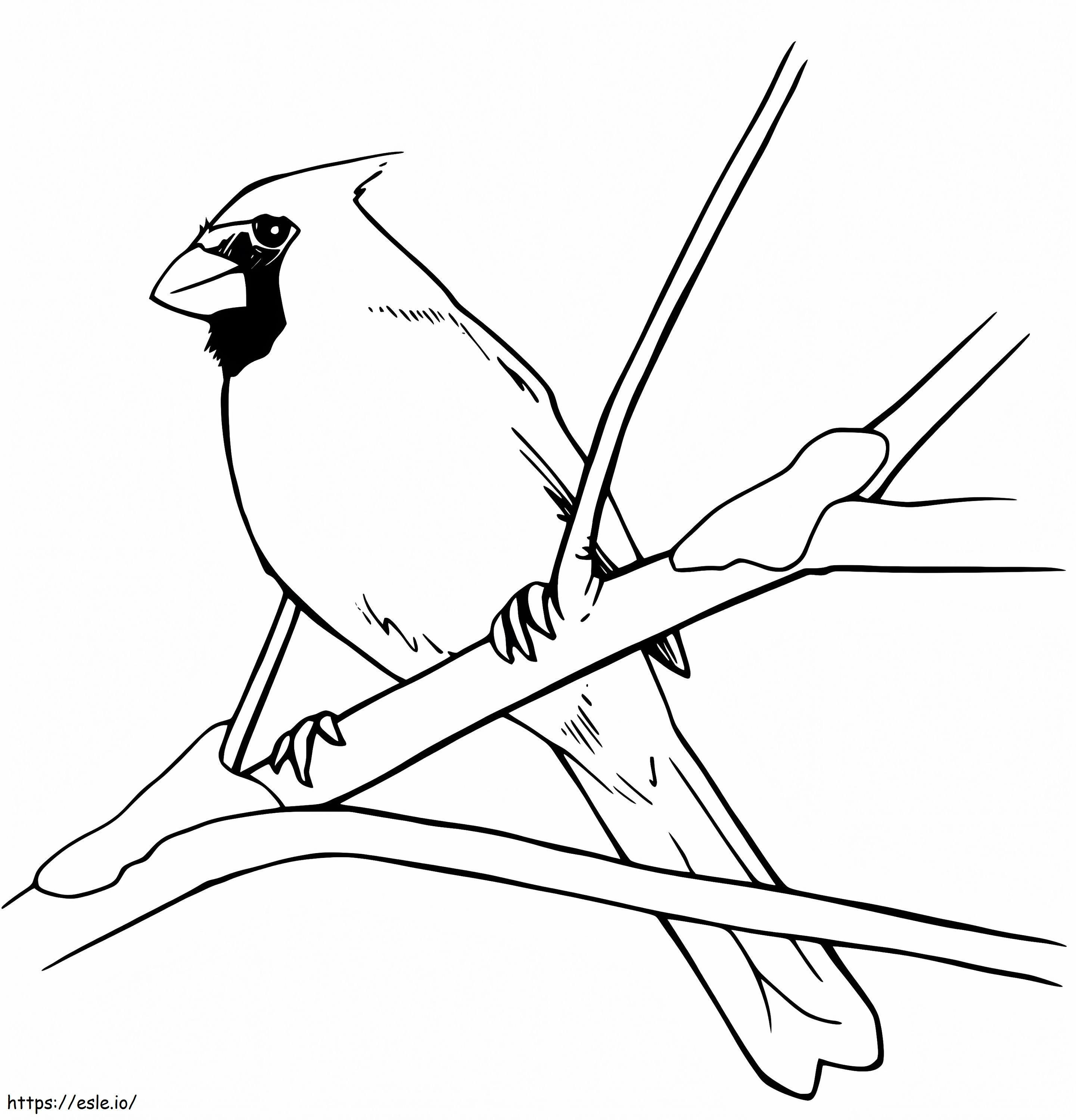 Kardinaali lintu puussa värityskuva