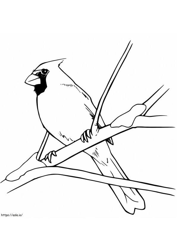 Kardinaali lintu puussa värityskuva