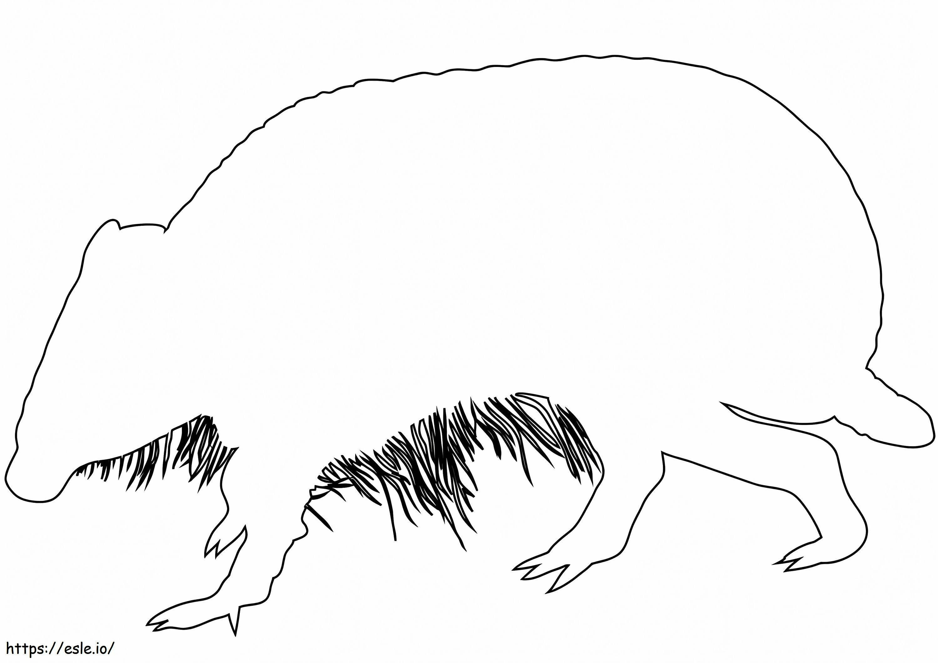 Armadillo Outline coloring page