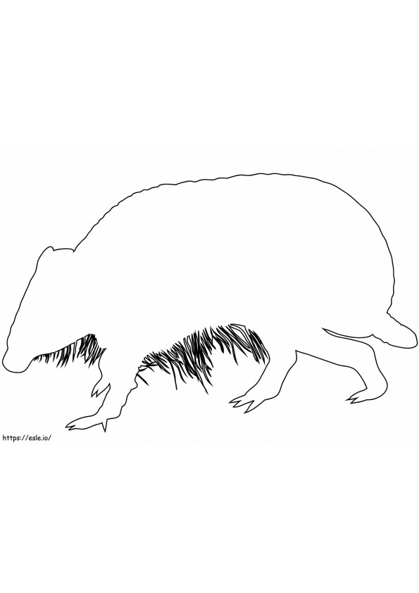 Armadillo Outline coloring page