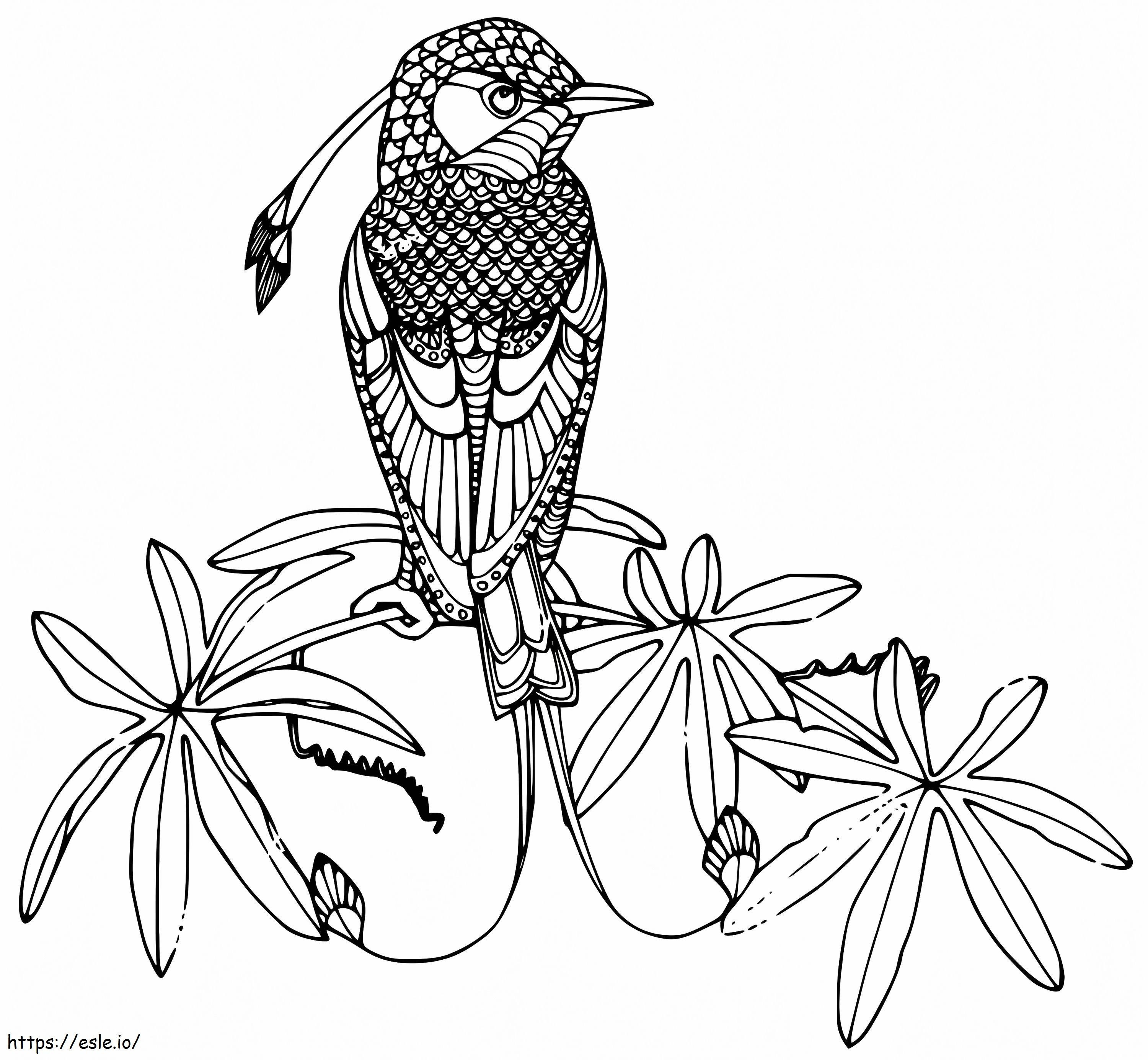 Coloriage Oiseau De Paradis 8 à imprimer dessin