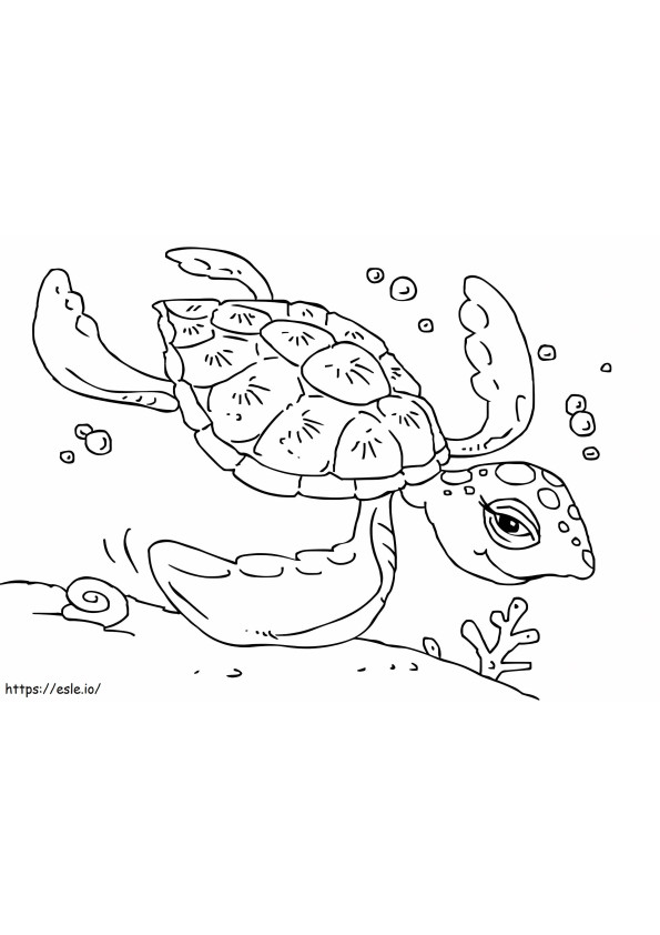 泳ぐウミガメ 1 ぬりえ - 塗り絵