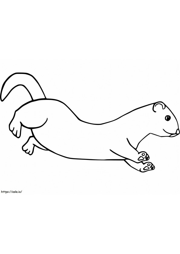 Adorable Ferret coloring page