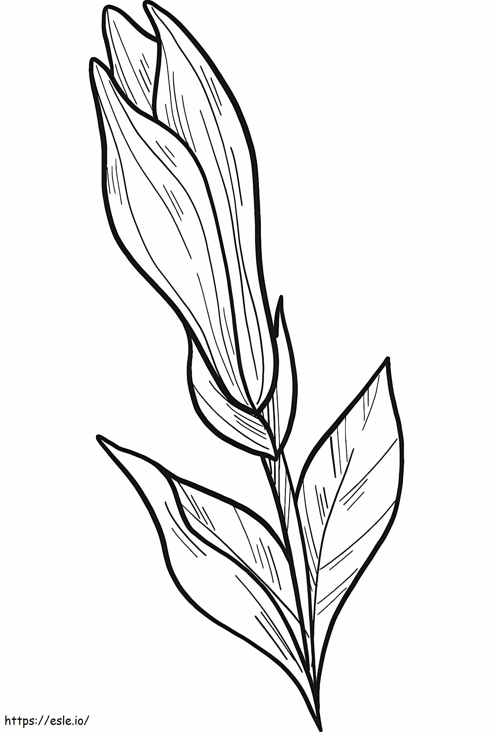 マグノリアの花 7 ぬりえ - 塗り絵