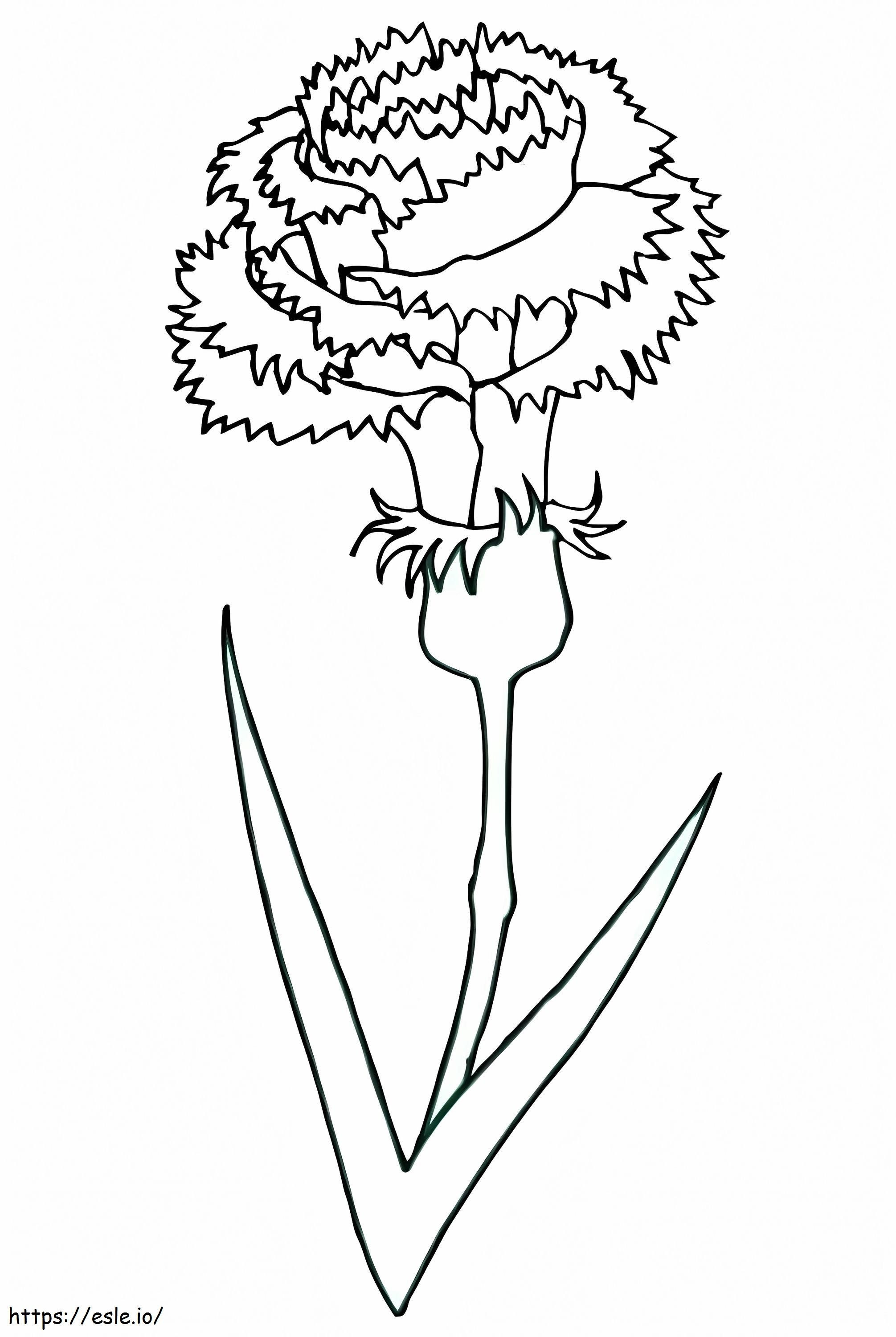 Adult Carnation coloring page