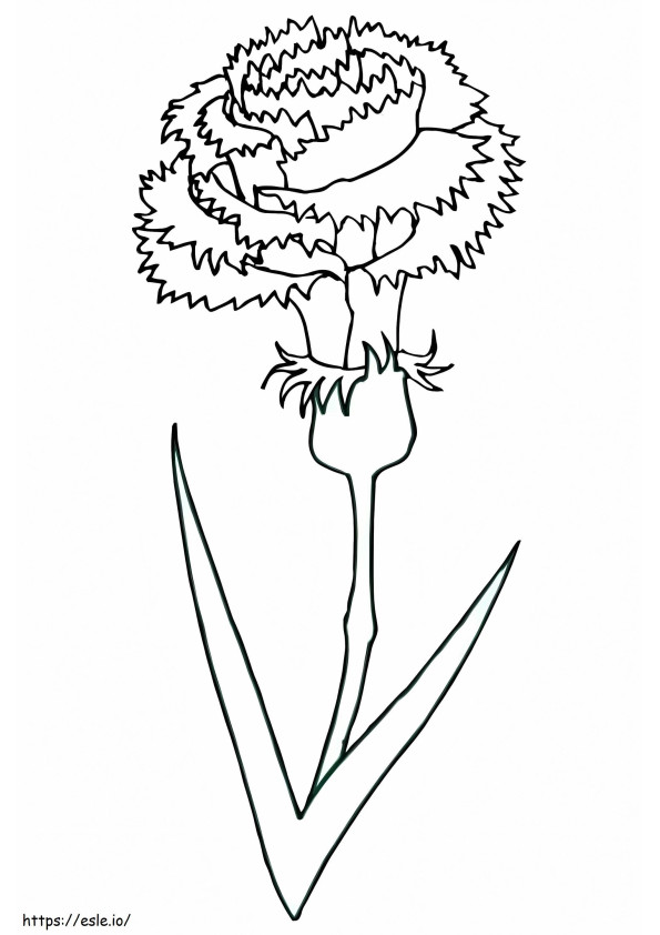 Adult Carnation coloring page