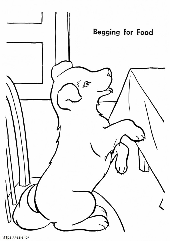 Puppy Begging For Food coloring page