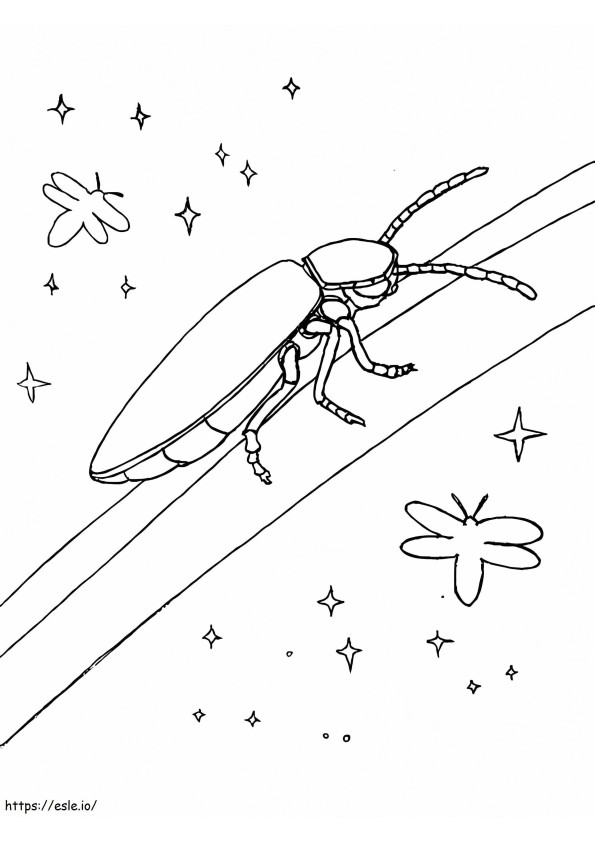 Firefly In The Night coloring page