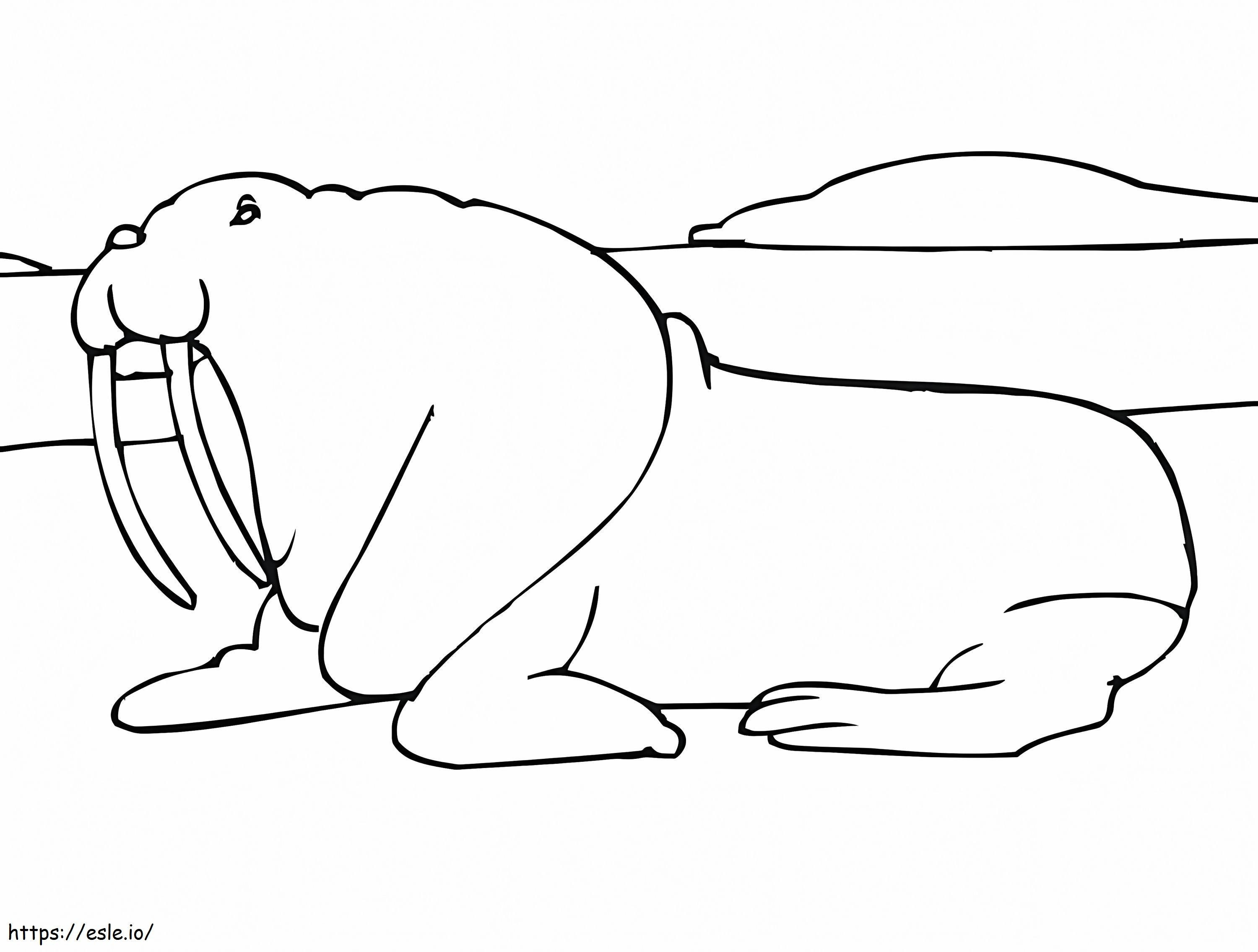 Walrus Di Tempat Penangkaran Gambar Mewarnai