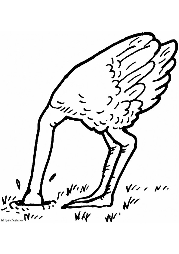 Struisvogel Begraaf Hoofdzand kleurplaat