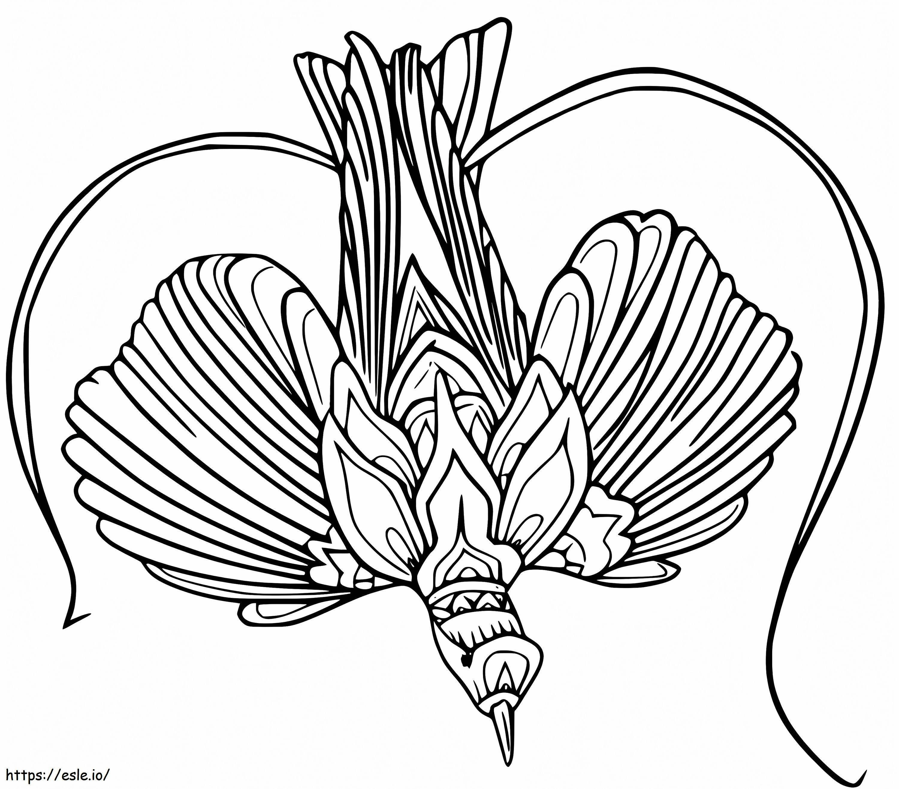 Red Bird Of Paradise coloring page