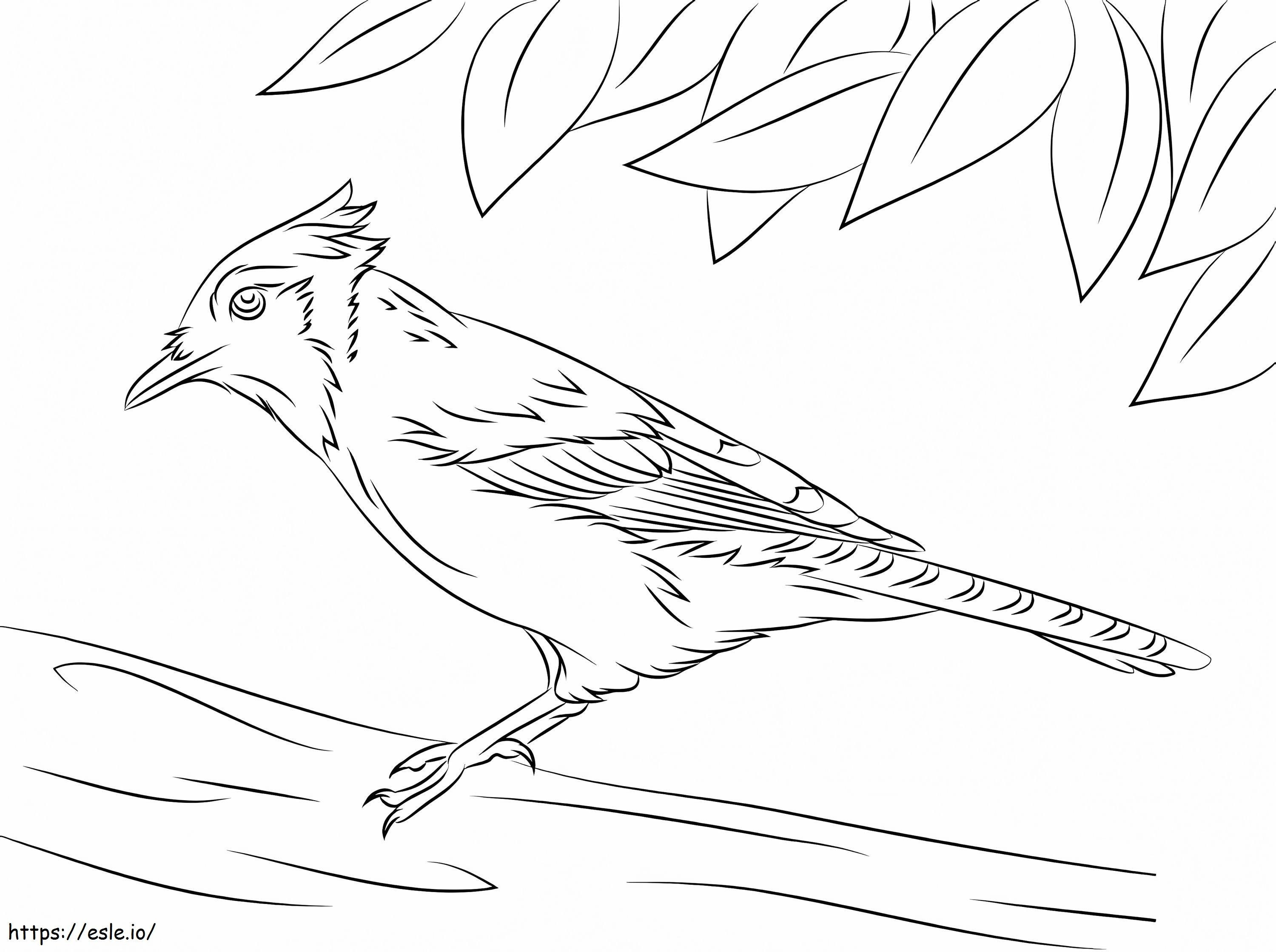Blue Jay On A Tree coloring page