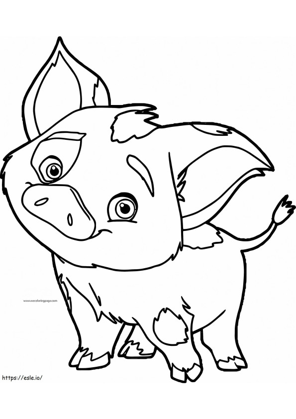 Babi Bunga