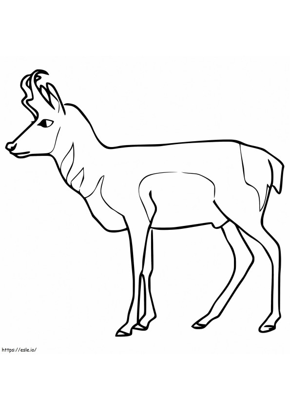 Pronghorn Printable coloring page