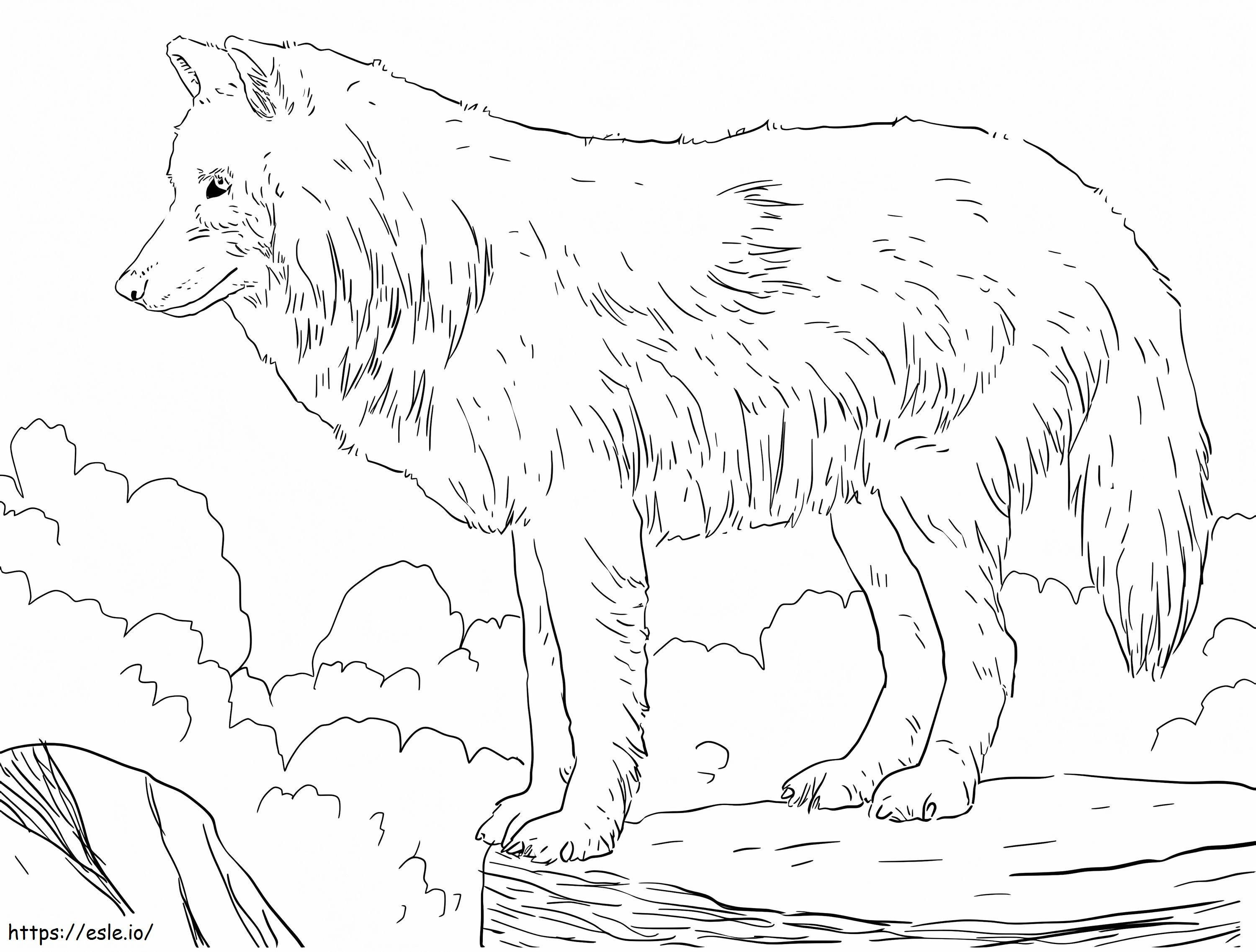 Coloriage Loup des neiges arctique à imprimer dessin