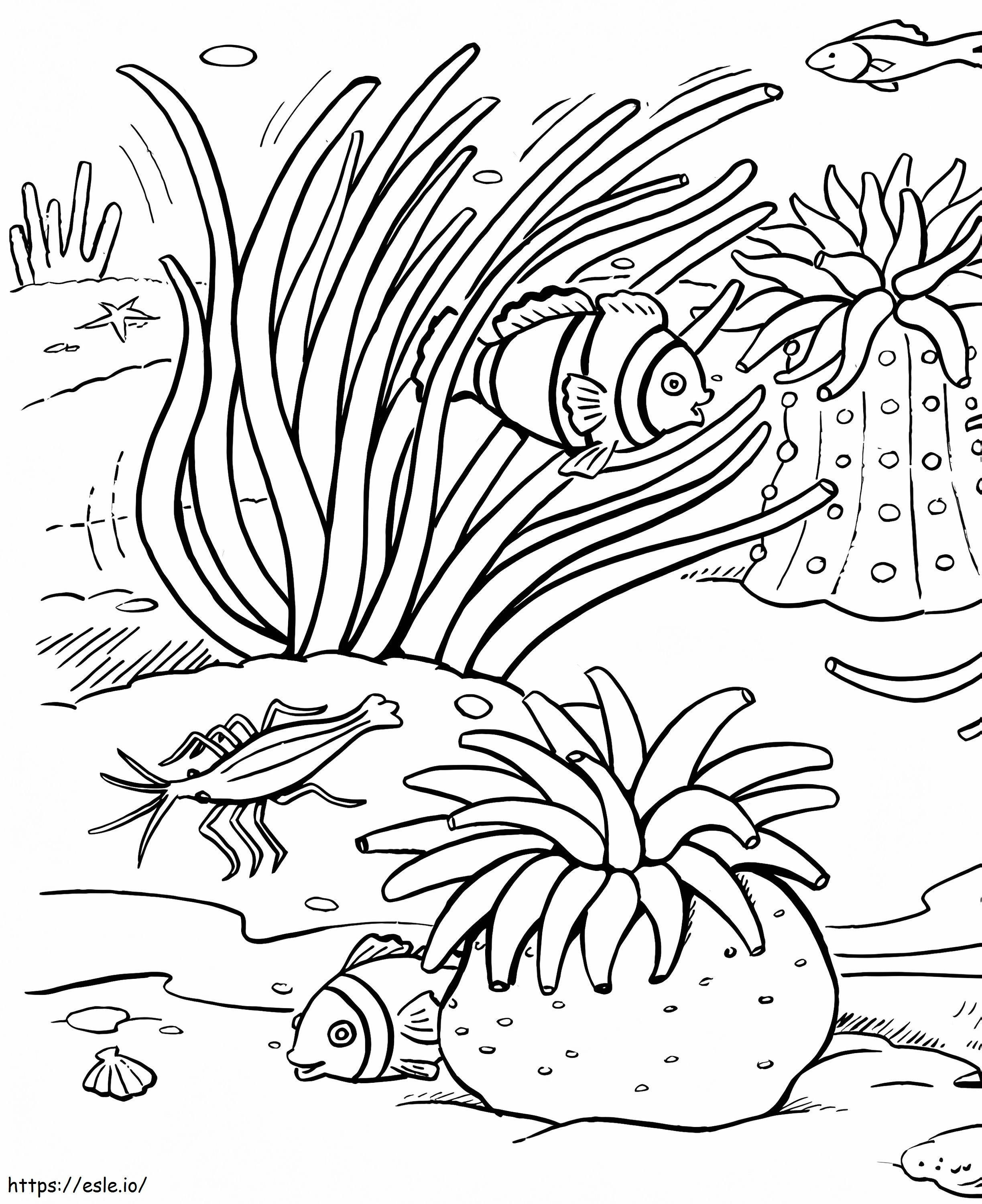 Stunning Coral coloring page