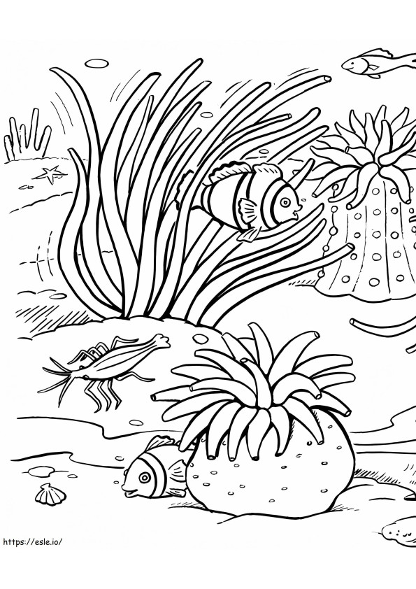Stunning Coral coloring page