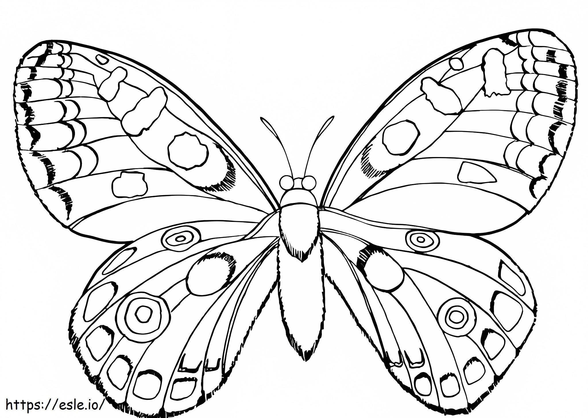 Coloriage Beau papillon à imprimer dessin