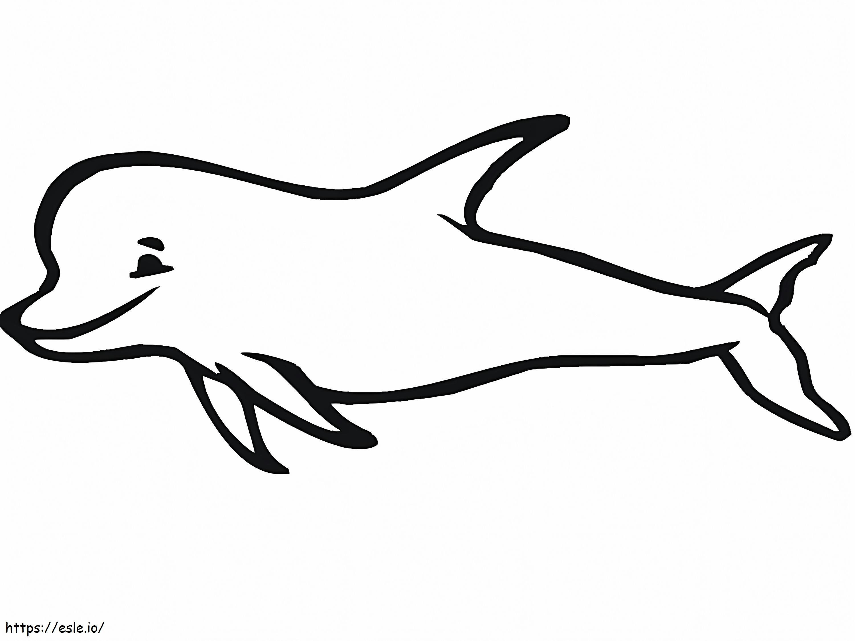 Dolfijn glimlachen kleurplaat kleurplaat
