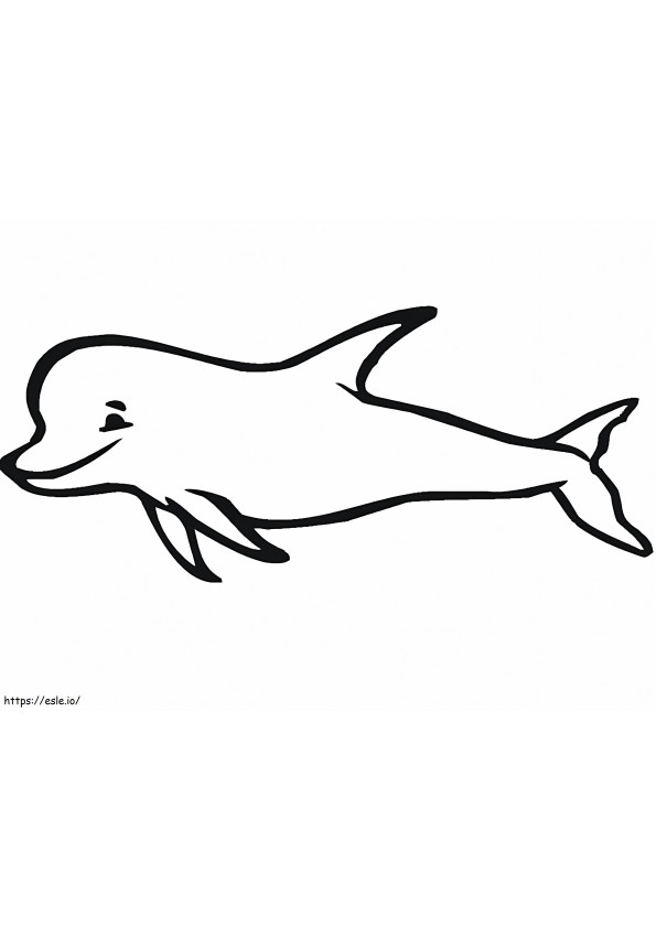 Dolfijn glimlachen kleurplaat