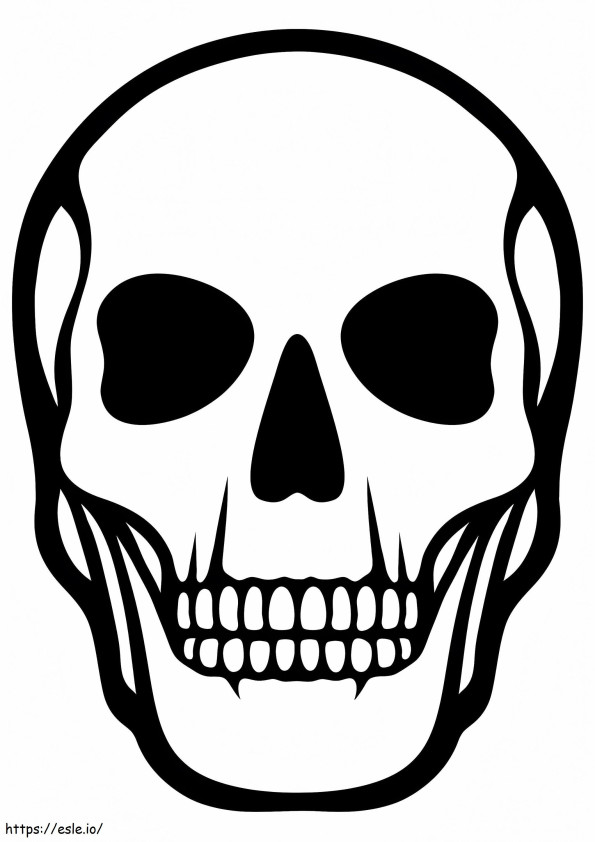 1526903394 人間の頭蓋骨の骨格 A4 ぬりえ - 塗り絵