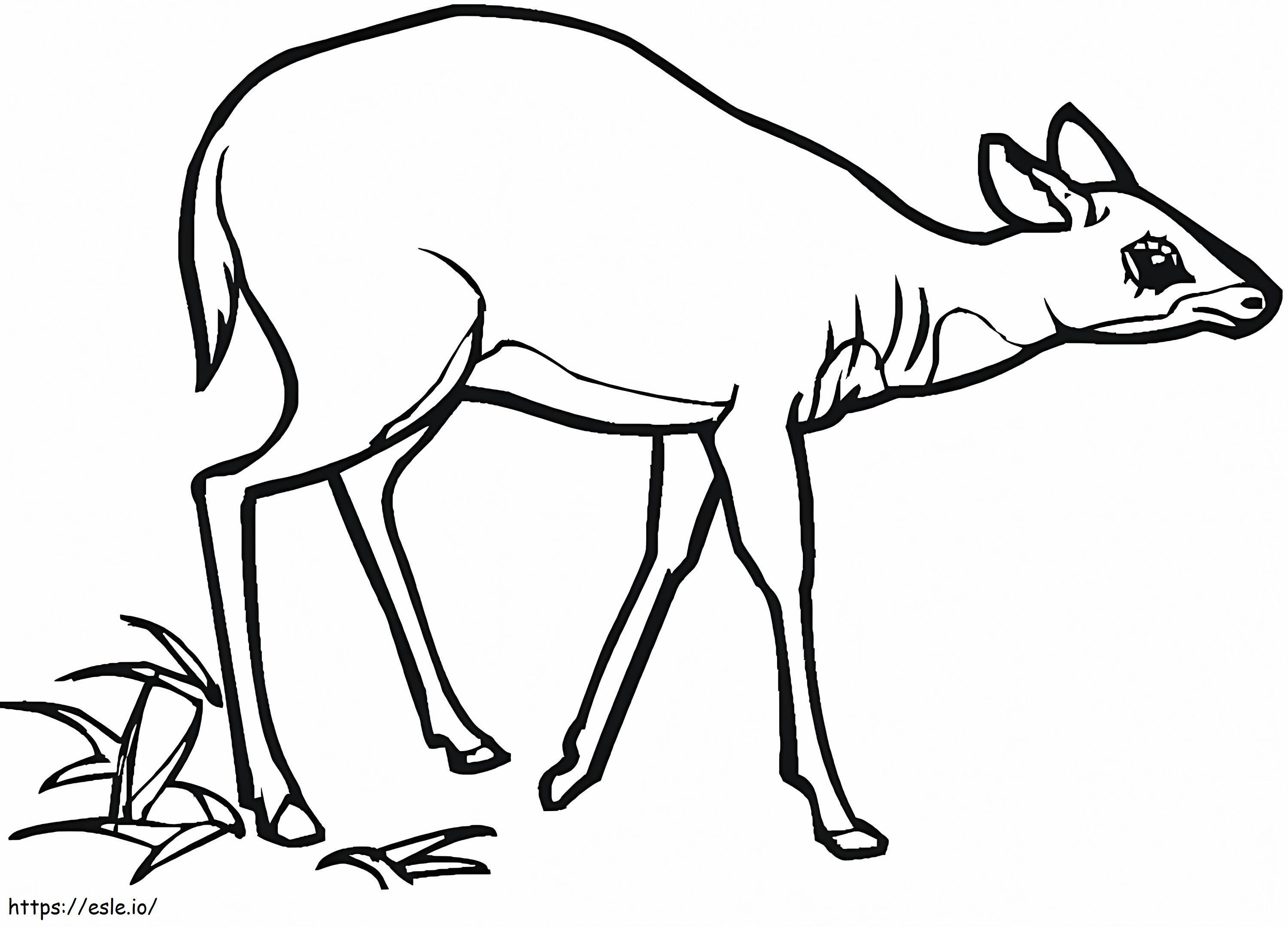 Coloriage Antilope Gratuit à imprimer dessin