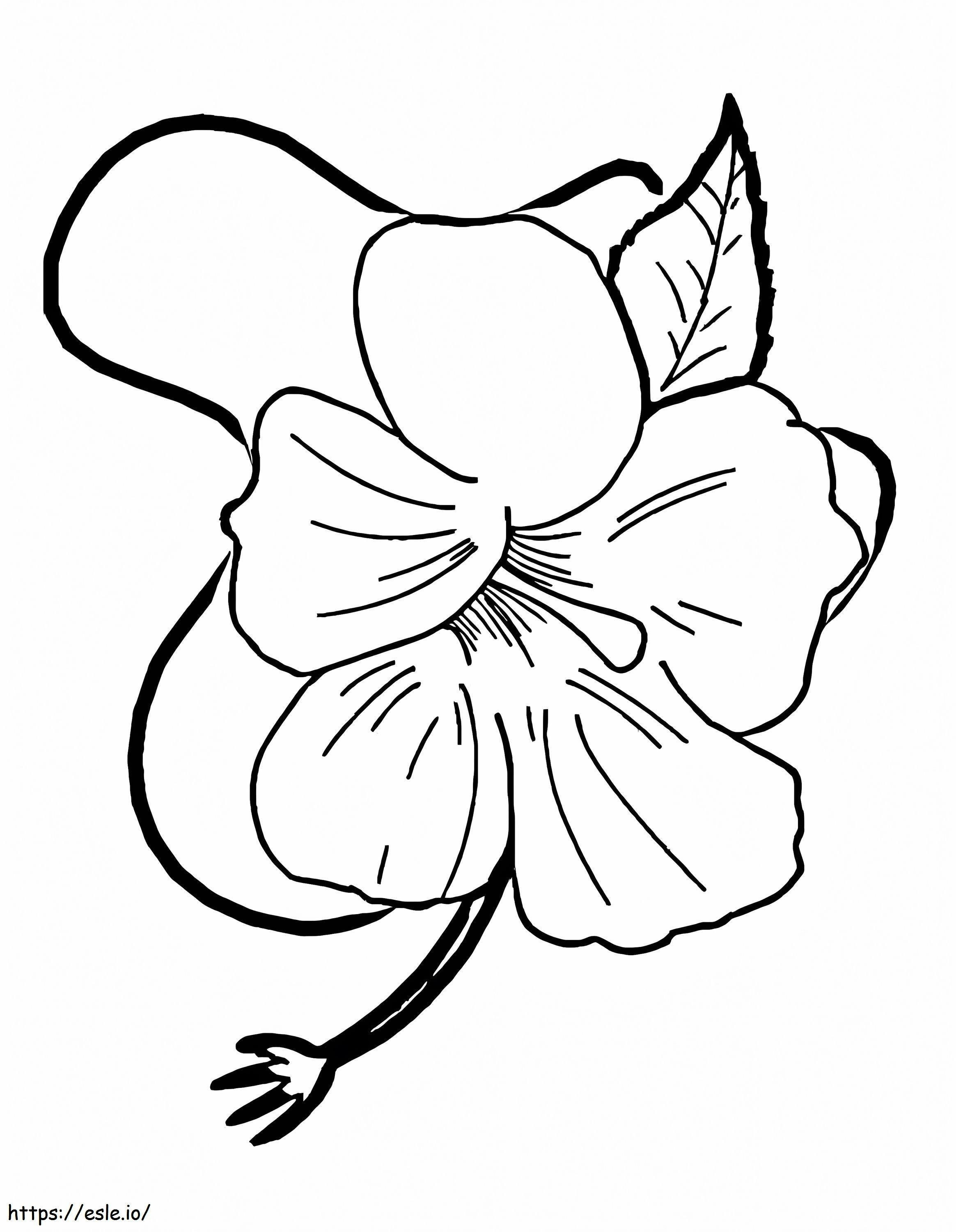 ハイビスカスの花 11 ぬりえ - 塗り絵