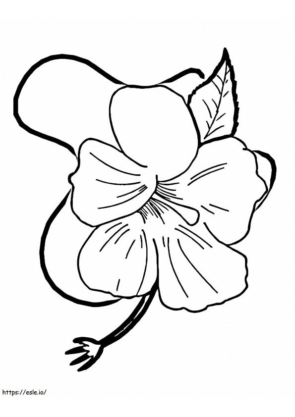 Coloriage Fleur d'hibiscus 11 à imprimer dessin