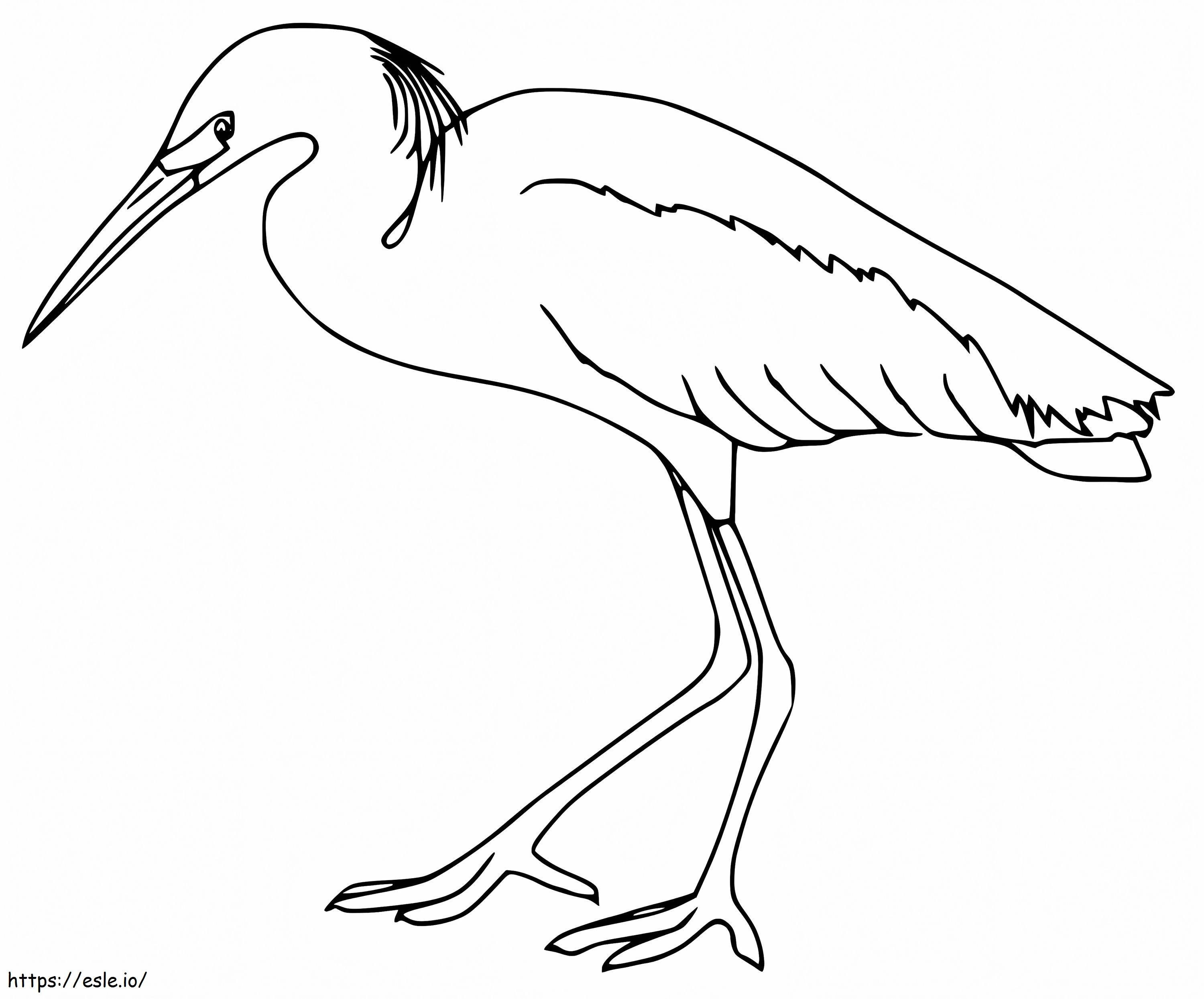 Ilmainen egret värityskuva
