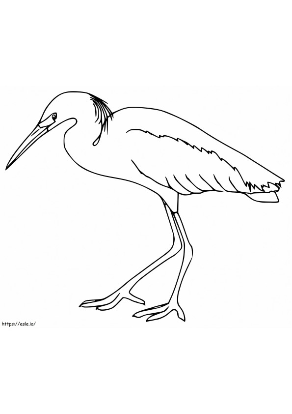 Egretă liberă de colorat