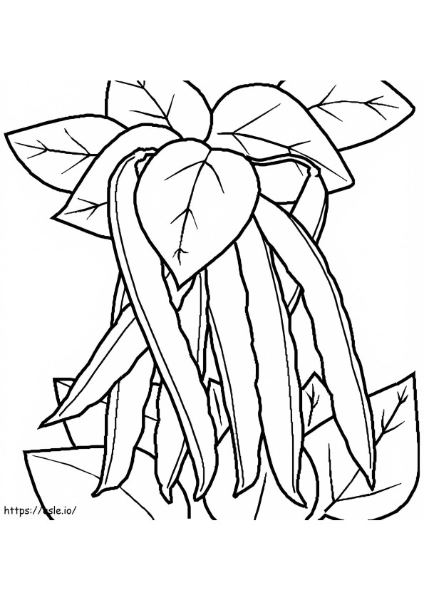 Beans And Leaf coloring page