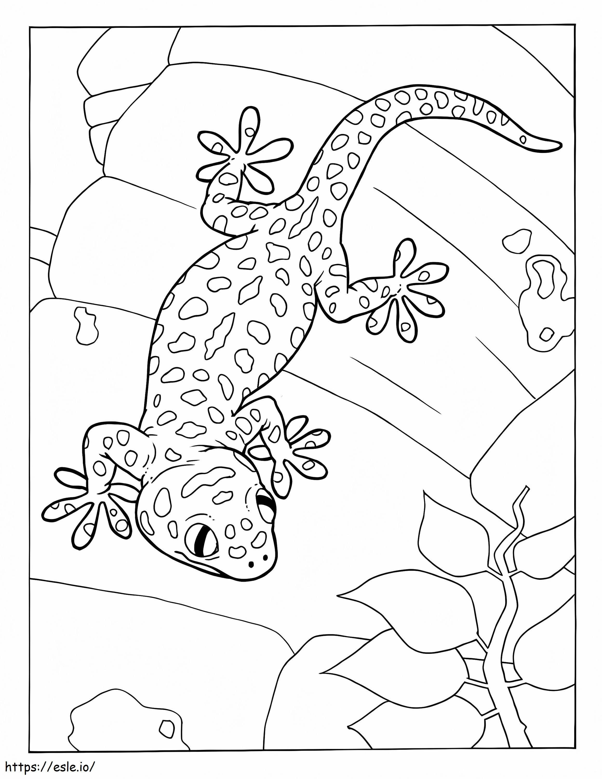 Coloriage Gecko doux à imprimer dessin