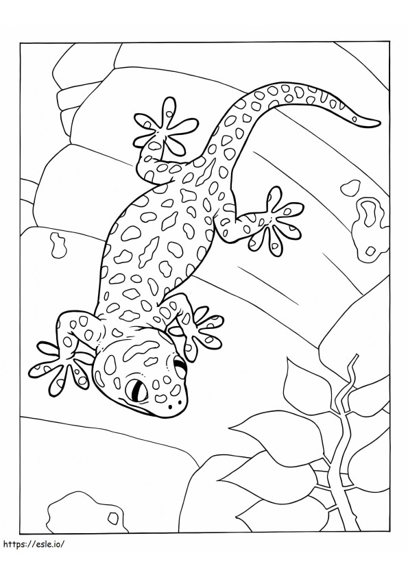 Suloinen Gecko värityskuva