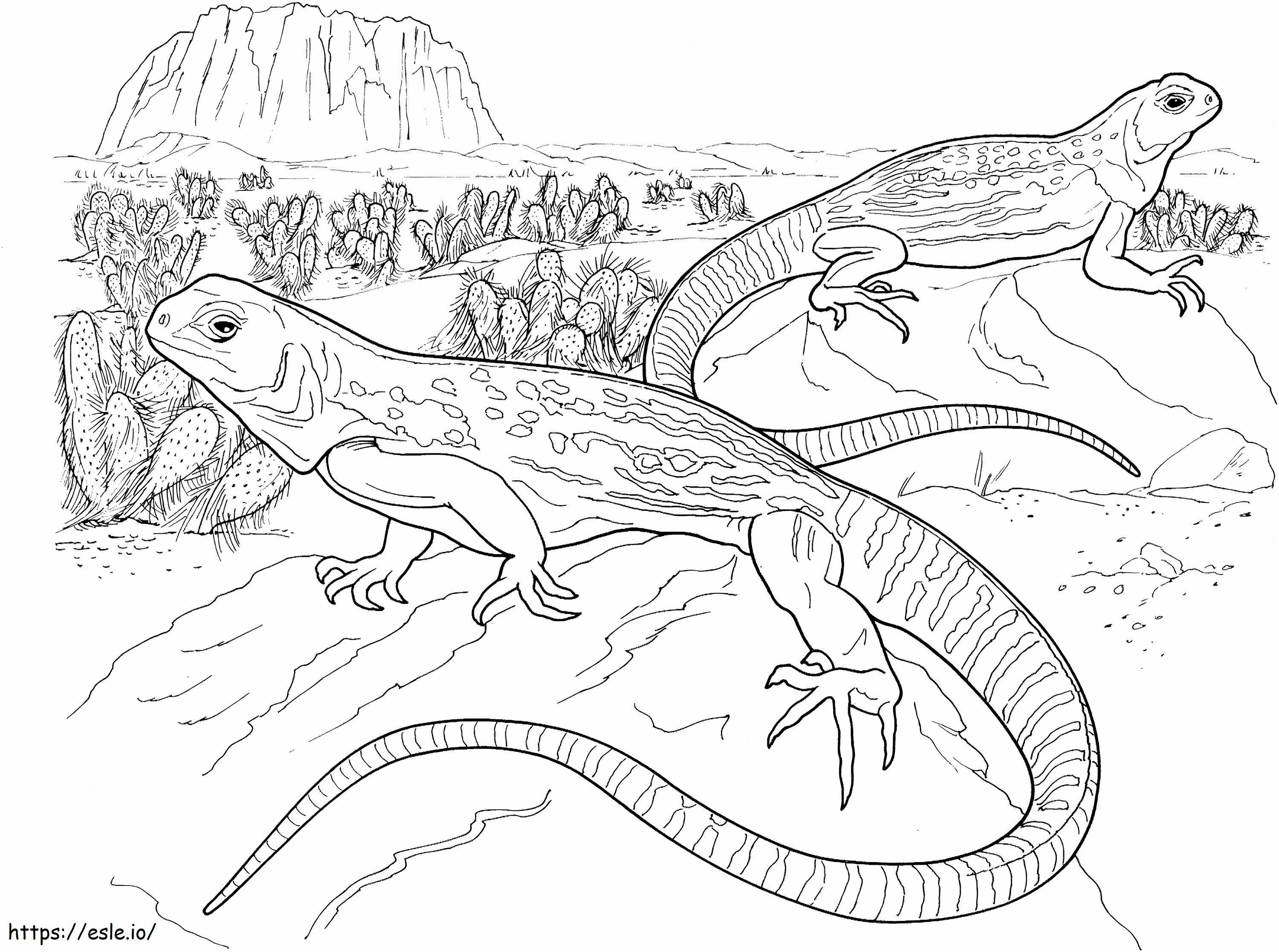 Coloriage Deux Geckos dans le désert écailleux à imprimer dessin