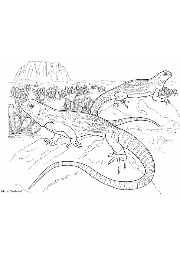Coloriage Deux Geckos dans le désert écailleux à imprimer dessin