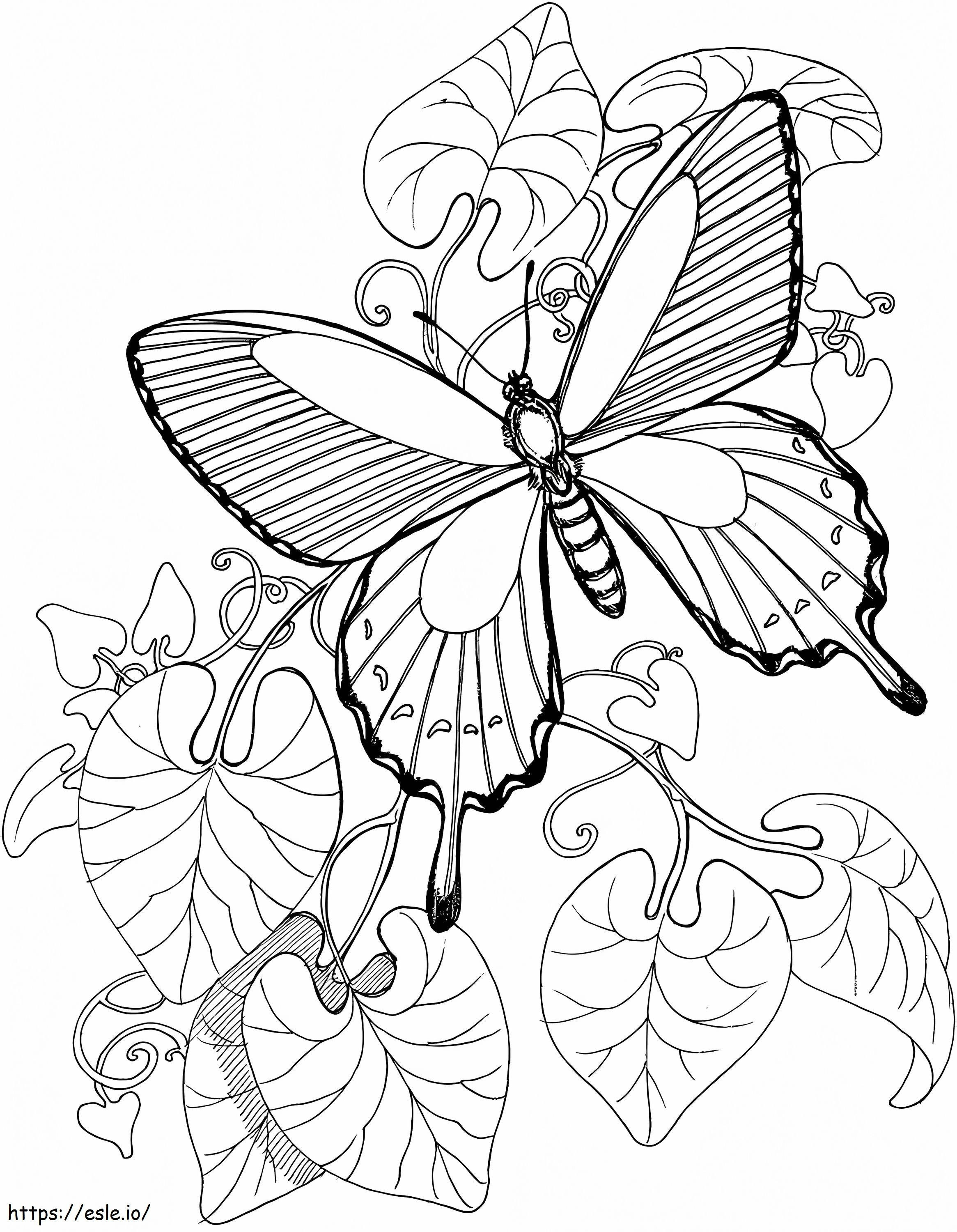 Vlinder In De Tuin kleurplaat kleurplaat