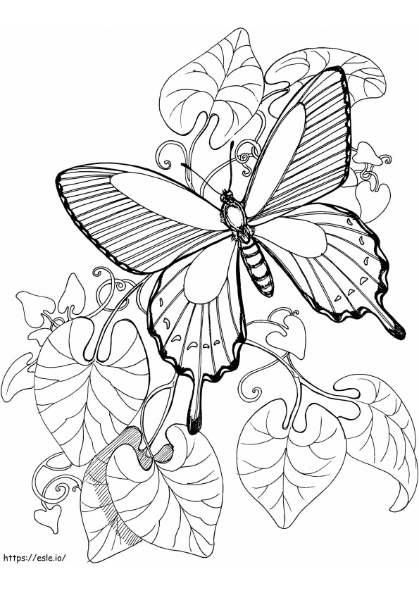 Vlinder In De Tuin kleurplaat kleurplaat